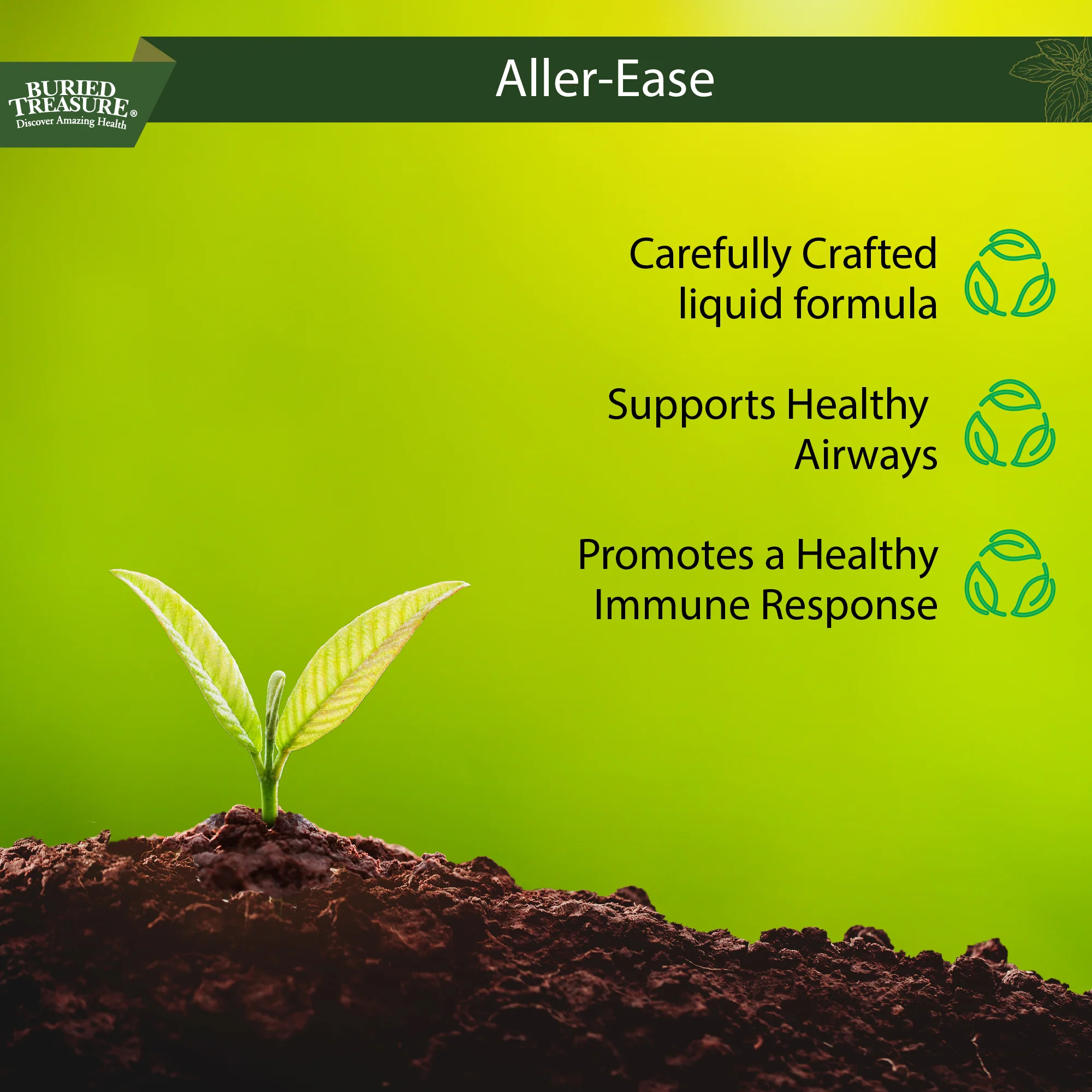 Aller Ease – Liquid Supplement with Quercetin, Bromelain, Vitamin C, and Zinc - Image 7