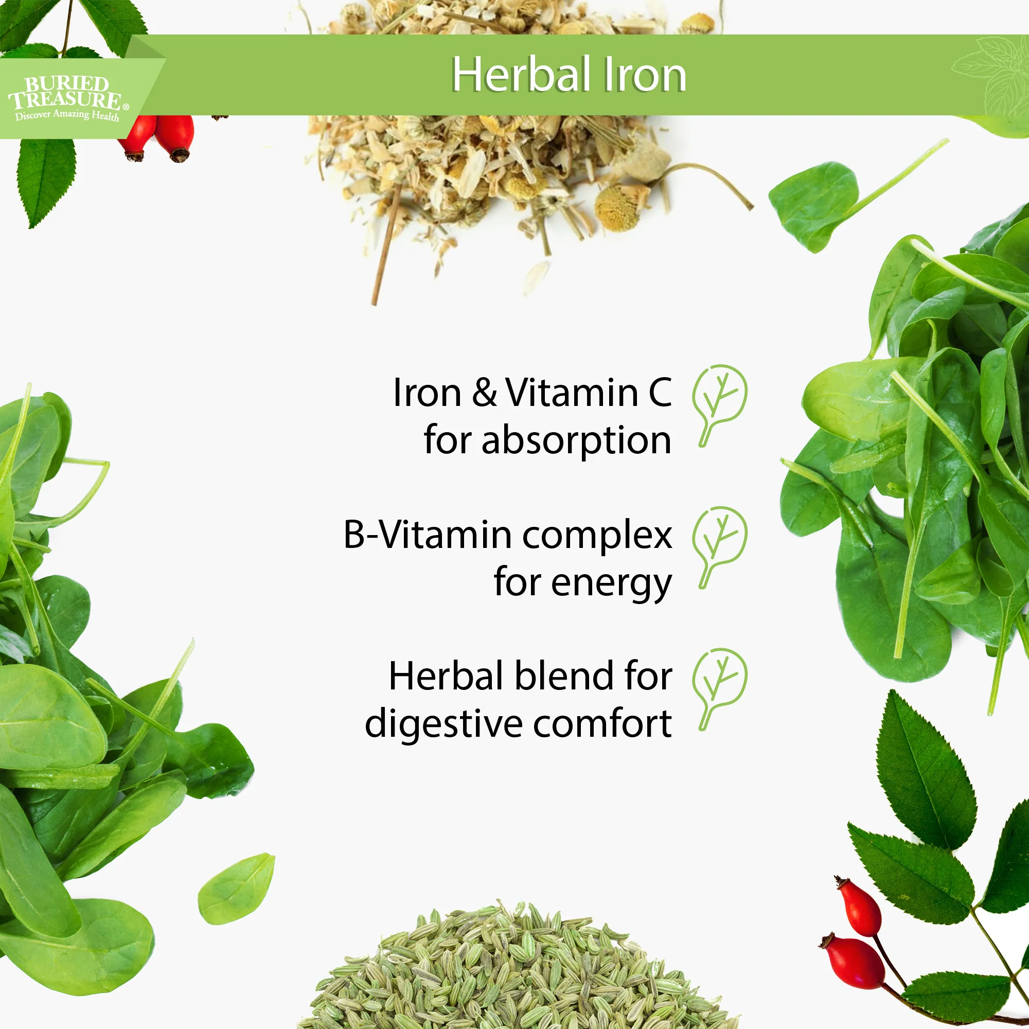 Herbal Iron – Liquid Iron Supplement with Vitamins & Herbs, 16 oz (48 Servings) - Image 8