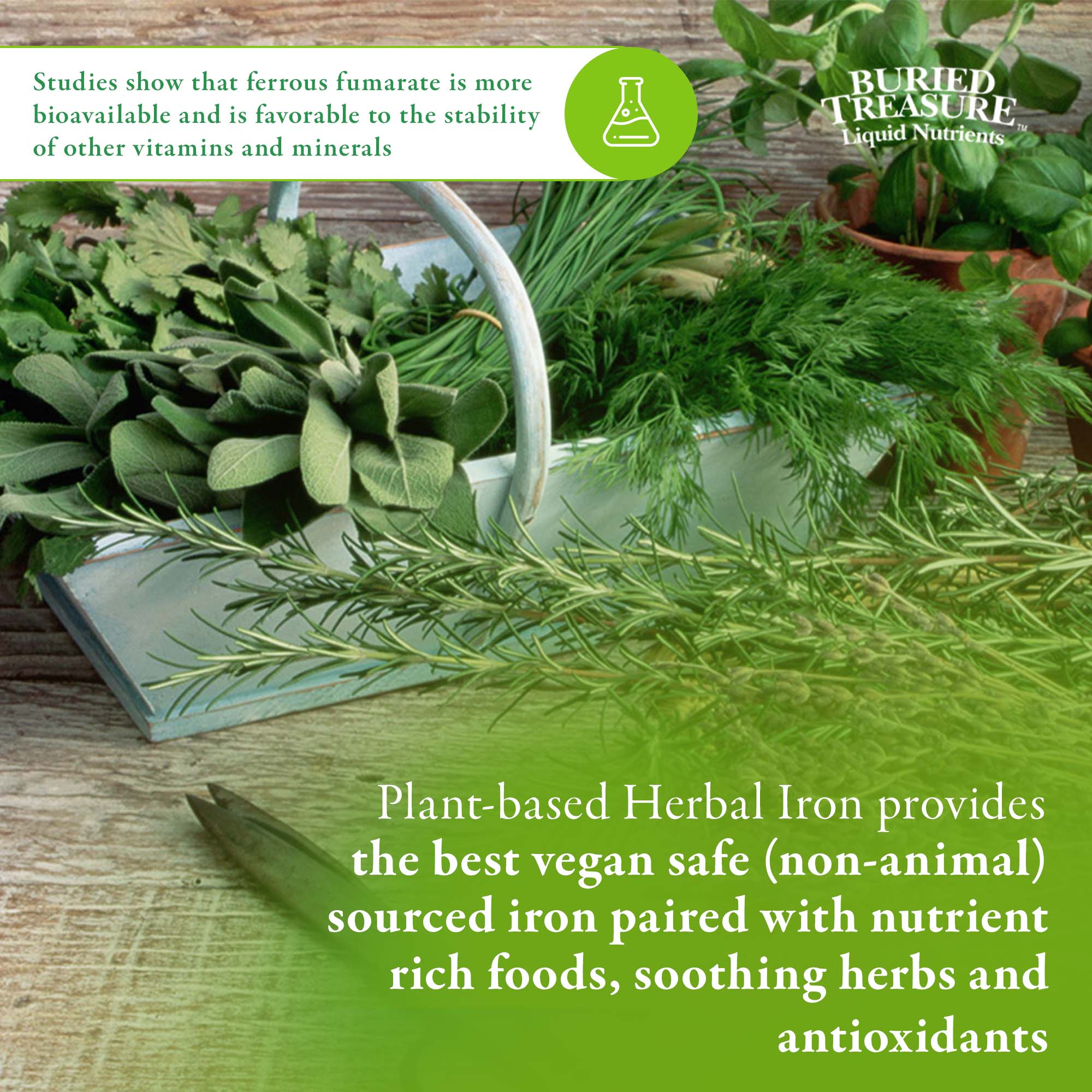 Herbal Iron Nutripac® - Image 4