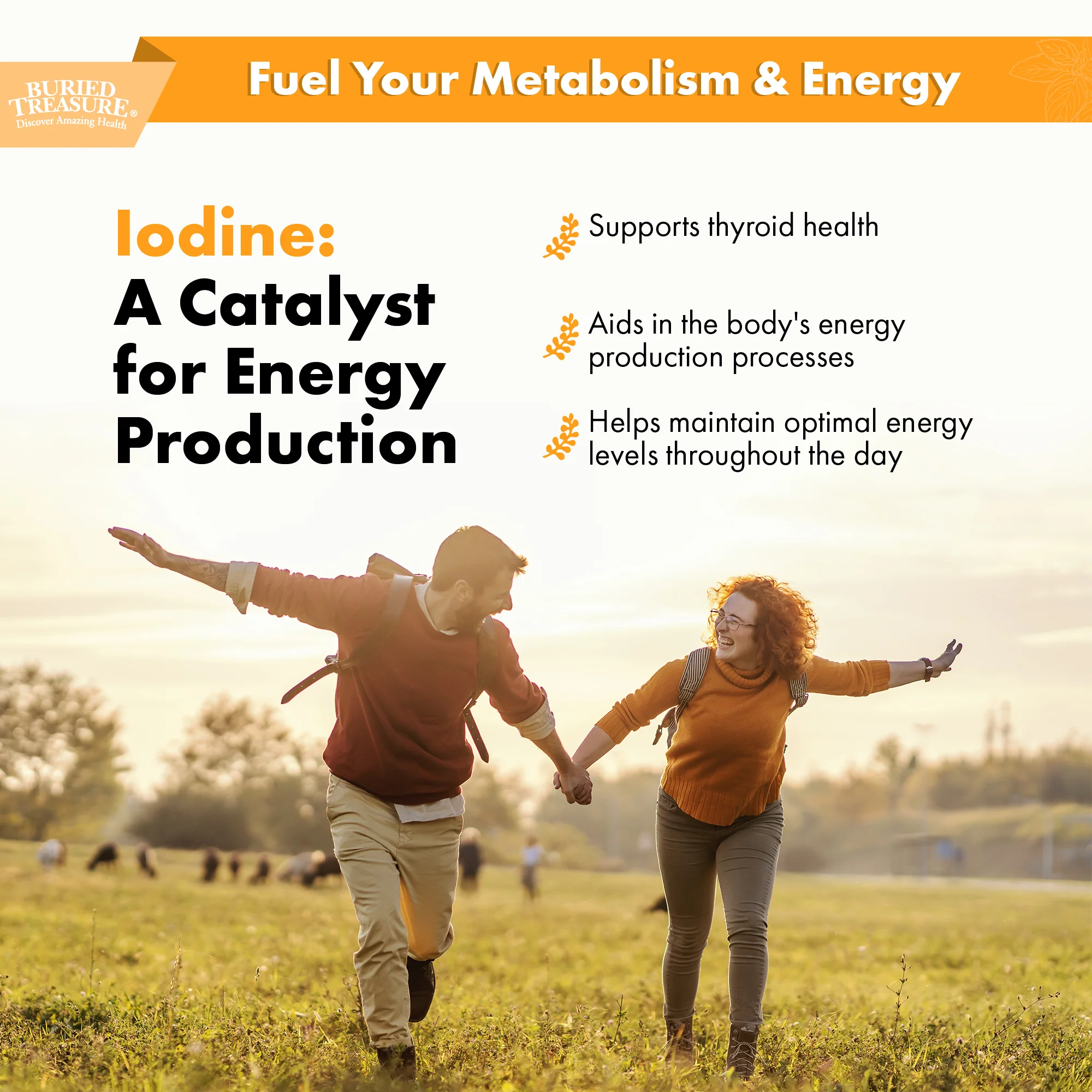 Iodine Drops with Kelp – Natural Liquid Supplement, 120 Servings - Image 4