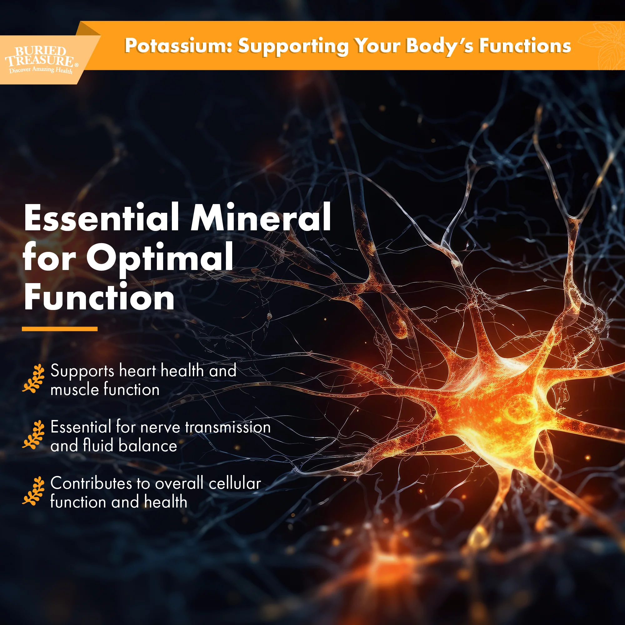 Iodine Drops with Kelp – Natural Liquid Supplement, 120 Servings - Image 6