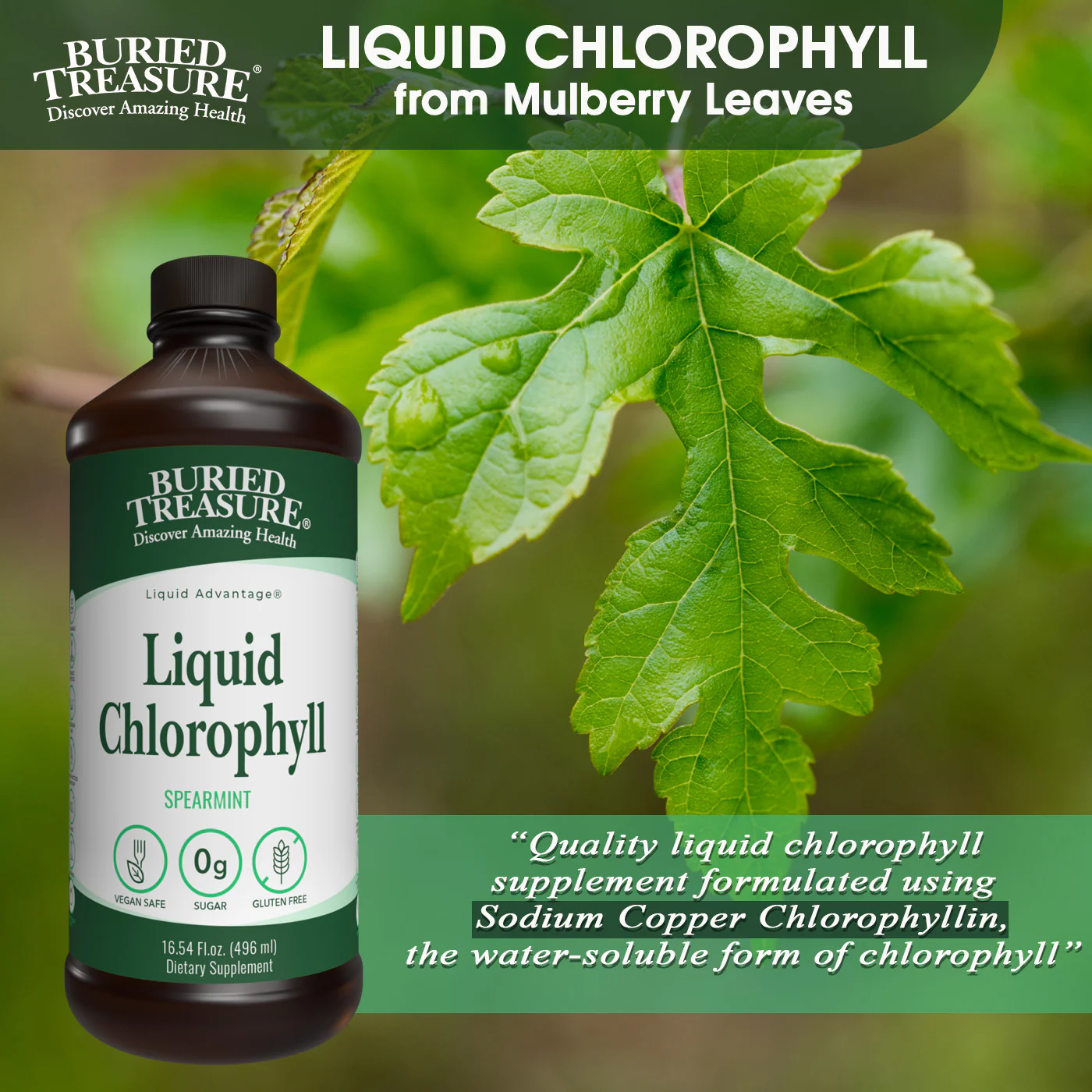 Liquid Chlorophyll – 100 mg Chlorophyll per Serving, 16 Servings - Image 3