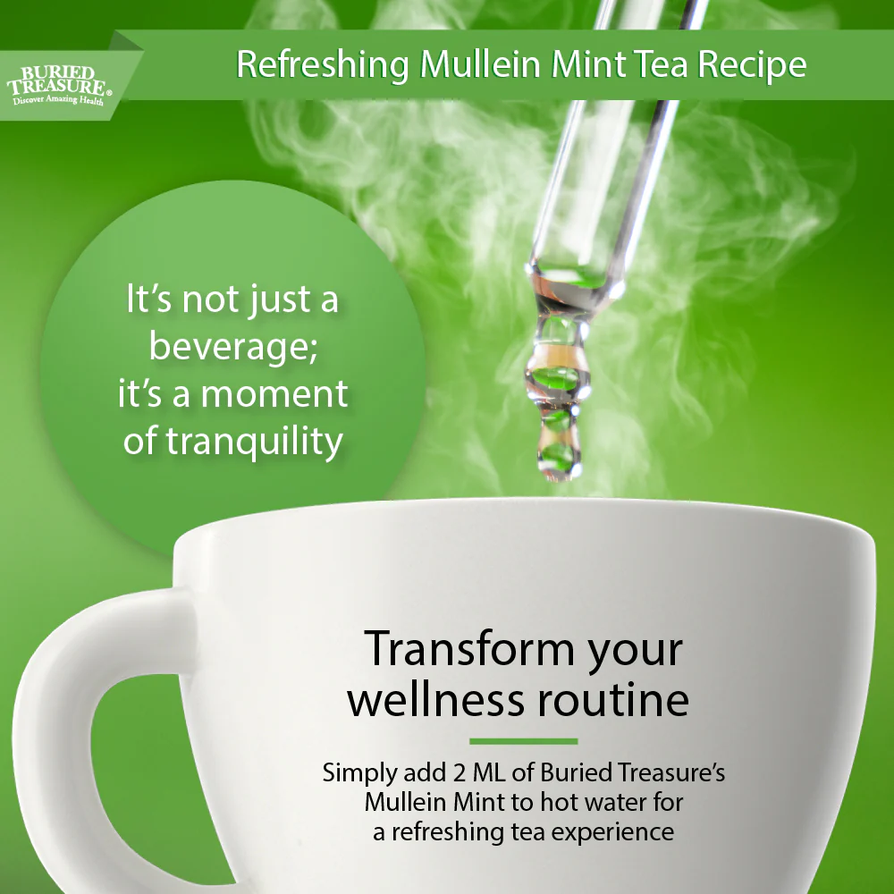 Buried Treasure Liquid Nutrients Mullein Drops with 200mg 10:1 Extract, Alcohol-Free Liquid Dietary Supplement - Image 4