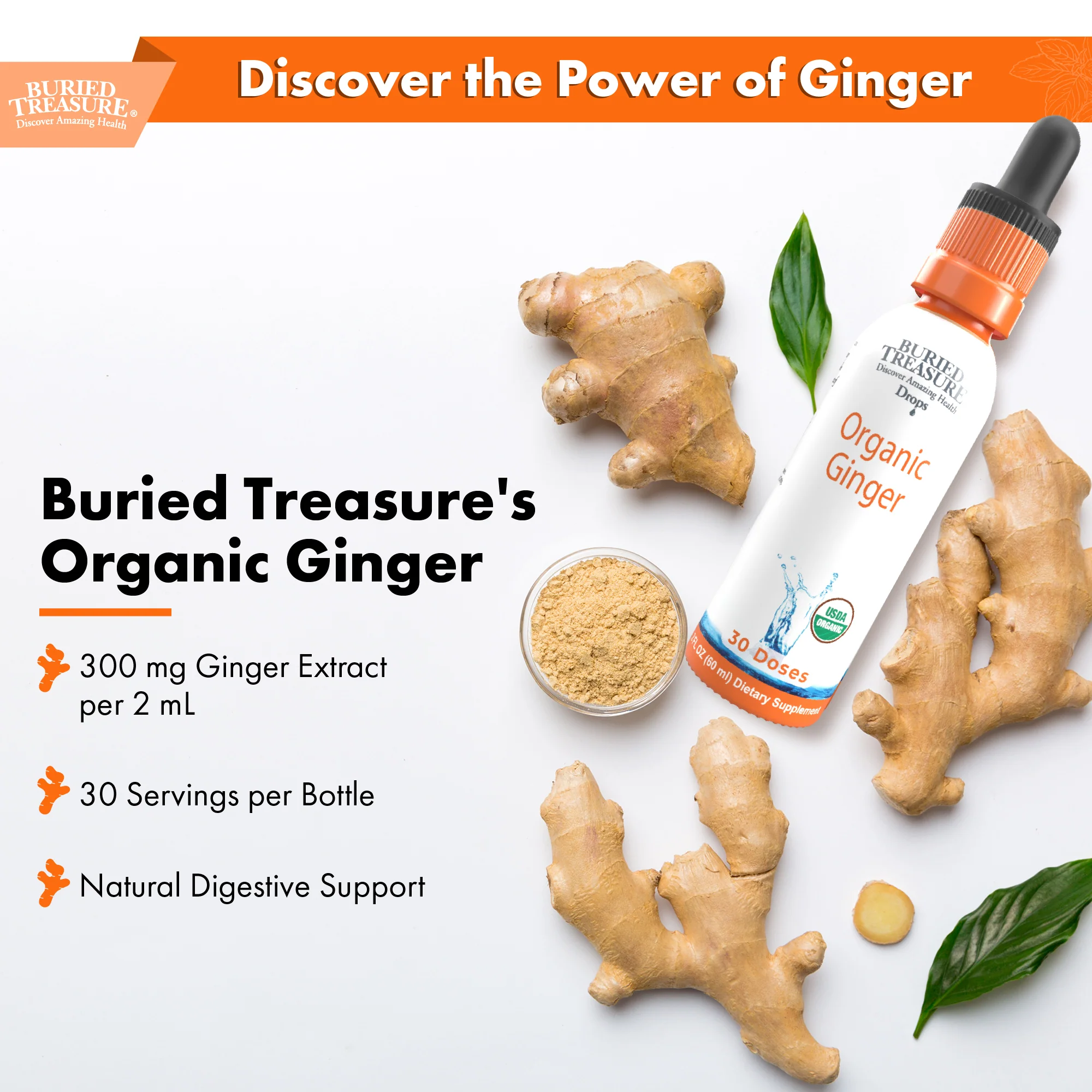 Buried Treasure Liquid Nutrients Organic Ginger Digestive Drops 30 Servings - Image 3