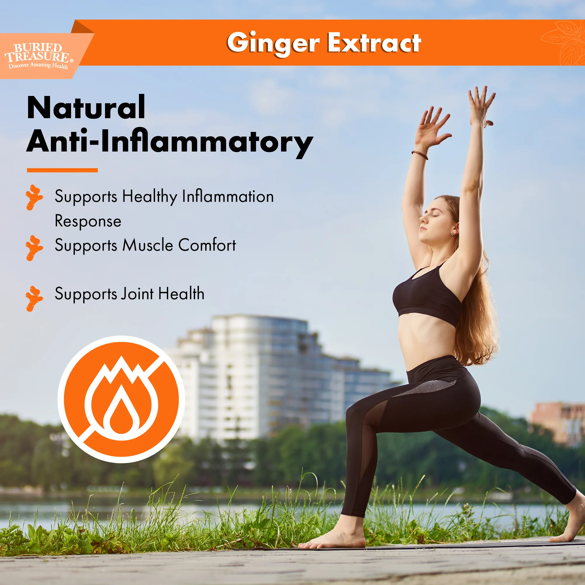 Buried Treasure Liquid Nutrients Organic Ginger Digestive Drops 30 Servings - Image 6